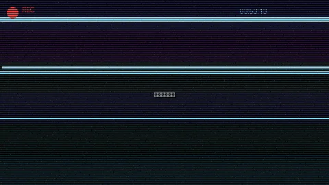 周末随拍记录 - 91免费版 原创视频